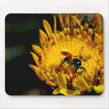 Anacapa Island Pollen and Bee Mousepads