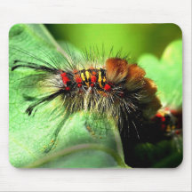 Anacapa Island Tussock Moth Caterpillar Mouse Pads