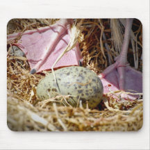 Anacapa Island, Western Gull Mouse Pads