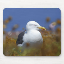 Anacapa Island, Western Gull Mousepad
