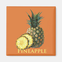 Ananas tropical aimant