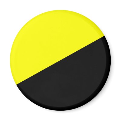 Anarcho-Capitalist Flag Magnet by lelandashtray