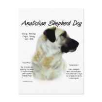 Anatolian Shepherd Dog History Design
