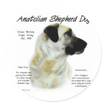 Anatolian Shepherd Dog History Design