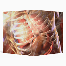 Anatomical Binder
