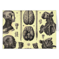 Anatomical Brain and More Greeting Cards