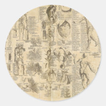 Anatomical Chart from Cyclopaedia 1728 Stickers