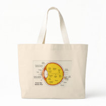 Anatomical Diagram of the Human Eye Ball Canvas Bag