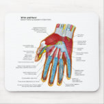 Anatomical Diagram of the Human Hand and Wrist Mousepad