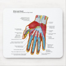 Anatomical Diagram of the Human Hand and Wrist Mousepad