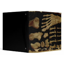 Anatomical drawing of the bones of the foot 3 ring binders