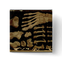 Anatomical drawing of the bones of the foot pinback button