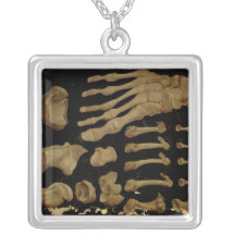 Anatomical drawing of the bones of the foot pendant