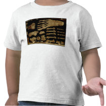 Anatomical drawing of the bones of the foot tee shirts