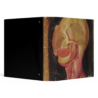 Anatomical drawing of the human head binder by bridgemanart