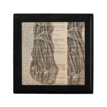 anatomical foot gift box