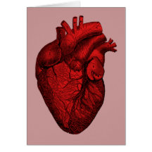 Anatomical Human Heart Cards