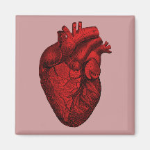 Anatomical Human Heart Fridge Magnet