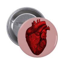 Anatomical Human Heart Pins