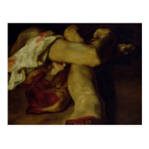 Anatomical Pieces postcards