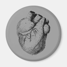 Anatomically Correct Heart Magnet