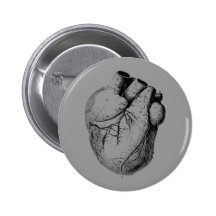 Anatomically Correct Heart Pinback Button