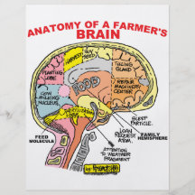 ANATOMIE DU CERVEAU D'UN AGRICULTEUR PROSPECTUS PERSONNALISÉS