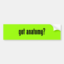 anatomie obtenue ? adhésif pour voiture