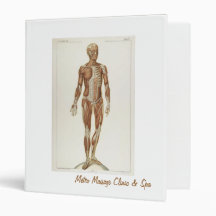 Anatomy Anterior & Posterior Muscles 3 Ring Binders