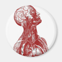 Anatomy Bust Red Magnets