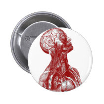 Anatomy Bust Red buttons