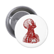 Anatomy Bust Red Pinback Buttons
