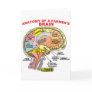 ANATOMY OF A FARMER'S BRAIN