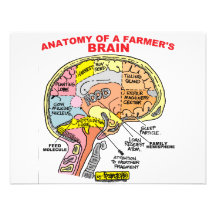 ANATOMY OF A FARMER'S BRAIN CUSTOM ANNOUNCEMENT