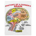 ANATOMY OF A FARMER'S BRAIN FLYERS