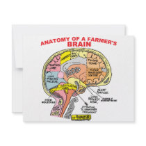 ANATOMY OF A FARMER'S BRAIN