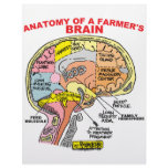 ANATOMY OF A FARMER'S BRAIN CUSTOMIZED LETTERHEAD