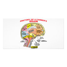 ANATOMY OF A FARMER'S BRAIN PHOTO CARDS