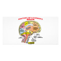 ANATOMY OF A FARMER'S BRAIN