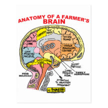 ANATOMY OF A FARMER'S BRAIN POST CARD
