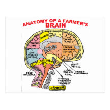 ANATOMY OF A FARMER'S BRAIN POST CARDS