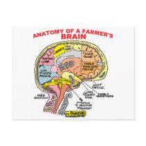 ANATOMY OF A FARMER'S BRAIN