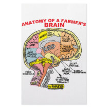 ANATOMY OF A FARMER'S BRAIN