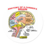 ANATOMY OF A FARMER'S BRAIN