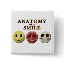 Anatomy of a Smile