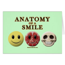 Anatomy of a Smile