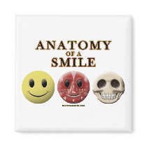 Anatomy of a Smile