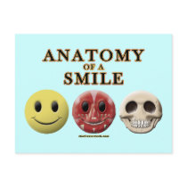 Anatomy of a Smile