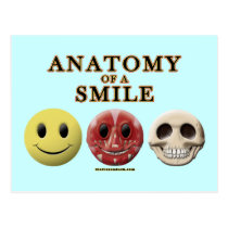 Anatomy of a Smile postcards