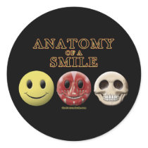 Anatomy of a Smile